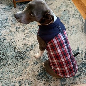 Humane Society - buffalo plaid dog jacket